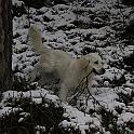 2009_12_19_3338