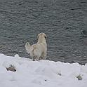 2009_12_19_3376