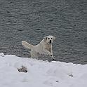2009_12_19_3377