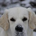 2009_12_19_3417