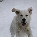 2009_12_19_3445