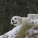 2009_12_19_3465