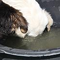 2009_04_25_0606