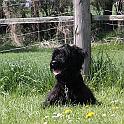 2009_04_25_0623