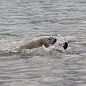 2009_05_08_0815