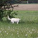 IMG_0714