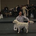 IMG_4193
