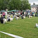 IMG_4063