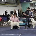 2009_12_05_3239