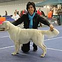 2009_12_06_3260