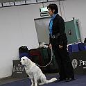 2009_12_06_3269