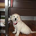 IMG_2547