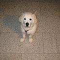 IMG_2610