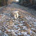 IMG_2649