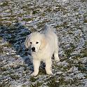 IMG_2693