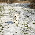 IMG_2945