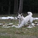 2010_01_23_3546