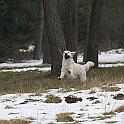 2010_01_23_3568