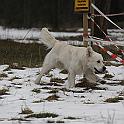 2010_01_23_3640