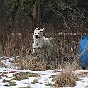 2010_01_23_3641