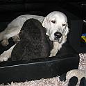 2010_01_24