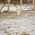 IMG_2975