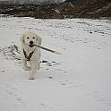 IMG_3011