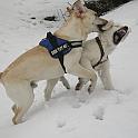 IMG_3269a