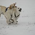 IMG_3269b