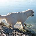 IMG_4259