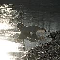 IMG_4300