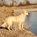 IMG_4310