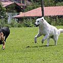 2009_07_11_1918