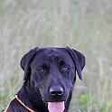 2009_07_21_2253