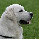 2009_07_24_2348