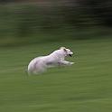 2009_07_24_2362