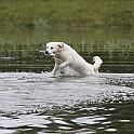 2009_07_24_2556