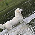 2009_07_24_2672