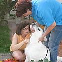 IMG_3949