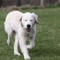 2009_04_04_0311