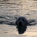 2009_05_25_0968