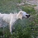 2009_05_25_1077