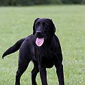 2009_05_30_1156