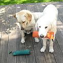 IMG_3691