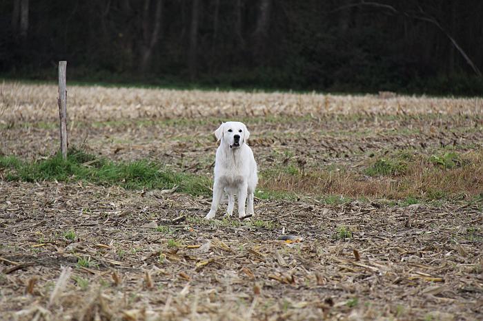 2009_10_09_2887