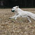 2009_10_09_2864