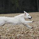 2009_10_09_2885