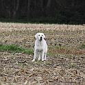 2009_10_09_2887