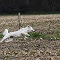 2009_10_09_2935