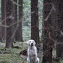 IMG_5607